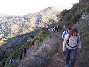 Més informació sobre l'article Fotografies de l’excursió al Benicadell i Otos