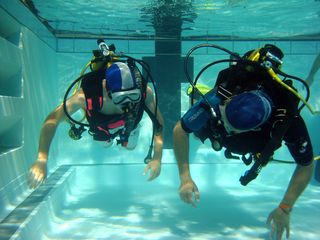 Més informació sobre l'article Activitat d’inici de busseig. Piscina cuberta de Paiporta 14 de Juliol