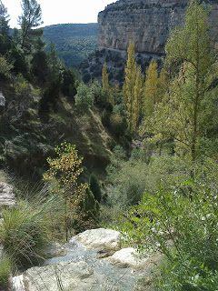 Més informació sobre l'article Excursió Mas La Toba (Terol) 5-novembre 2011