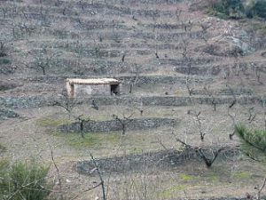 Més informació sobre l'article Visita a la Vall d’Almonacid i Sogorb