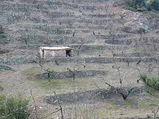 Més informació sobre l'article Visita a la Vall d’Almonacid i Sogorb