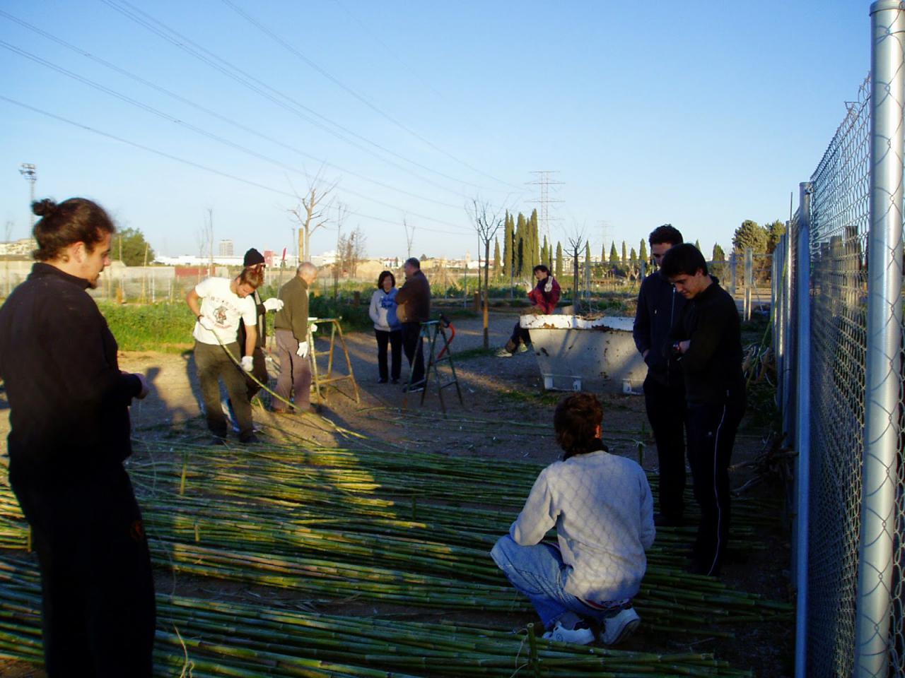 Més informació sobre l'article Taller de bioconstrucció amb canyes