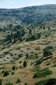 Més informació sobre l'article Excursió a la Puebla San Miguel i el Racó d’Ademús 1 i 2 de juny