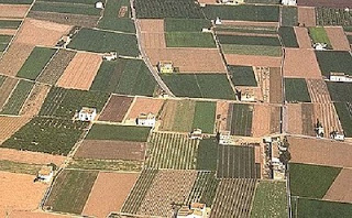 Més informació sobre l'article Diumenge 6 de març. Amb bicicleta per hortes, horts i camps de l’Horta Sud