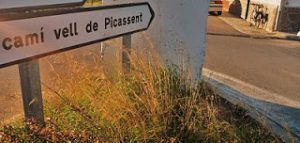 Més informació sobre l'article PASSEJADA COL•LECTIVA A PEU: Recorrent les fites del terme