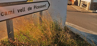 Més informació sobre l'article PASSEJADA COL•LECTIVA A PEU: Recorrent les fites del terme