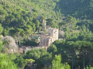 Més informació sobre l'article Excursió a la vall de la Murta dissabte 12 d’abril 2014