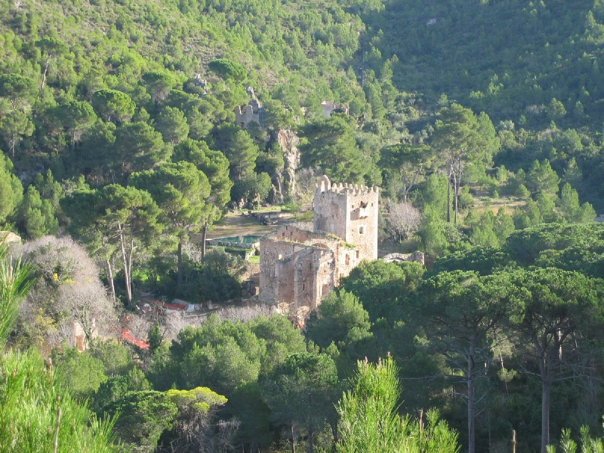 Més informació sobre l'article Excursió a la vall de la Murta dissabte 12 d’abril 2014