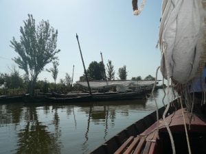 Més informació sobre l'article PASSEIG AL PORT DE CATARROJA. Diumenge 28 d’octubre