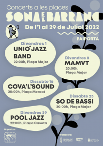 Més informació sobre l'article SONA EL BARRANC Concerts a les places