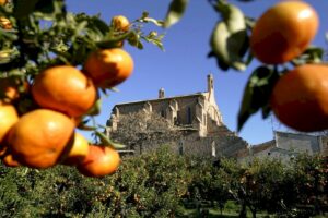 Més informació sobre l'article L’ENTITAT SIQUEM, DE BORRIANA, AJUDA LA UNIÓ MUSICAL AMB 750€ PER LA RECAPTACIÓ DELS CONCERTS EN QUÈ PARTICIPÀREM “COR EL DANSA”